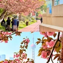 北外滩滨江绿地 - 上海市旅游 缩略图 6