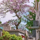 北海公园 - 北京市旅游 缩略图 2