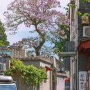 北海公园 - 北京市旅游 缩略图 4