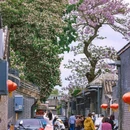 北海公园 - 北京市旅游 缩略图 1