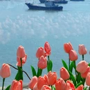 山盟海舍 - 台州市旅游 缩略图 5