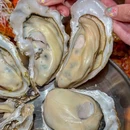 文记虾一跳(宝安店) - 深圳市旅游 缩略图 8