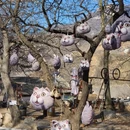 猫村 - 保定市旅游 缩略图 2
