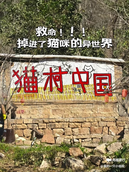 猫村 - 保定市旅游