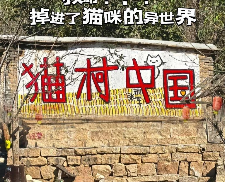 猫村 - 保定市旅游 1