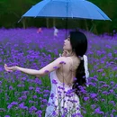 深圳中心公园 - 深圳市旅游 缩略图 2