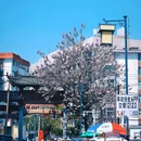 合肥市少年儿童图书馆 - 合肥市旅游 缩略图 5