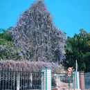 合肥市少年儿童图书馆 - 合肥市旅游 缩略图 4