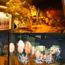 殷墟 - 安阳市旅游 缩略图 3