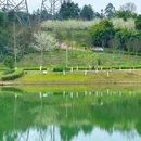 天府微博村 - 成都市旅游 缩略图 9
