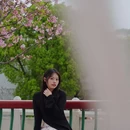 南粤苑 - 广州市旅游 缩略图 1