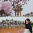 南粤苑 - 广州市旅游 缩略图 5
