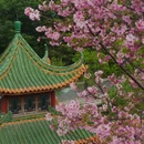 南粤苑 - 广州市旅游 缩略图 4