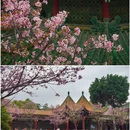 南粤苑 - 广州市旅游 缩略图 3