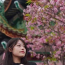 南粤苑 - 广州市旅游 缩略图 7