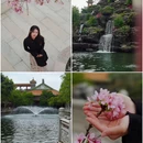 南粤苑 - 广州市旅游 缩略图 9