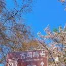 古鸡鸣寺 - 南京市旅游 缩略图 2