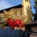 古鸡鸣寺 - 南京市旅游 缩略图 8
