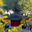 古鸡鸣寺 - 南京市旅游 缩略图 9