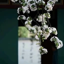 北京郭沫若纪念馆 - 北京市旅游 缩略图 4