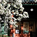 北京郭沫若纪念馆 - 北京市旅游 缩略图 3