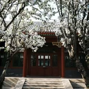 北京郭沫若纪念馆 - 北京市旅游 缩略图 2