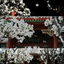 北京郭沫若纪念馆 - 北京市旅游 缩略图 8