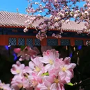 恭王府博物馆 - 北京市旅游 缩略图 4