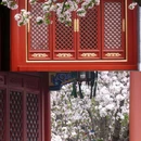恭王府博物馆 - 北京市旅游 缩略图 7