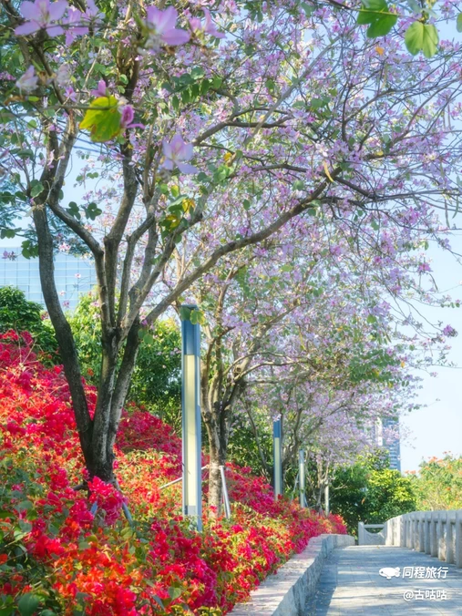 光明区城市广场 - 深圳市旅游