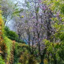光明区城市广场 - 深圳市旅游 缩略图 8