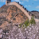 金山岭长城 - 承德市旅游 缩略图 8