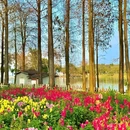 情侣路 - 珠海市旅游 缩略图 5