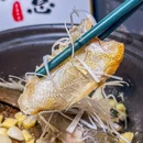 外婆小砂锅 - 北京市旅游 缩略图 8