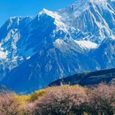 玉松村 - 林芝市旅游 缩略图 1