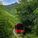 十思园 - 常州市旅游 缩略图 8