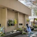 麻省后院HuaLaLa·咖啡茶&Bar - 成都市旅游 缩略图 3