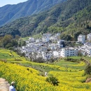 婺源江湾景区 - 上饶市旅游 缩略图 1