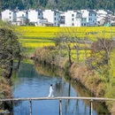 婺源江湾景区 - 上饶市旅游 缩略图 3
