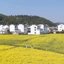 婺源江湾景区 - 上饶市旅游 缩略图 8