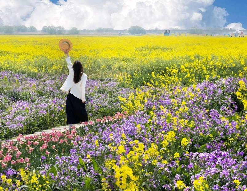 高邮·湖上花海 - 扬州市旅游 1
