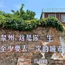 开元寺景区 - 泉州市旅游 缩略图 8