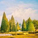 世界花卉大观园 - 北京市旅游 缩略图 7