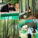 上海佘山国家旅游度假区 - 上海市旅游 缩略图 6