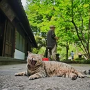 积义亭 - 杭州市旅游 缩略图 7