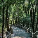 灵岩山寺 - 苏州市旅游 缩略图 5