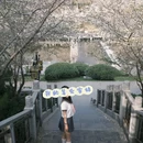 瑞莱悦旅酒店(洛阳火车站店) - 洛阳市旅游 缩略图 7