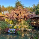 芙蓉里·小渔村(金星路店) - 长沙市旅游 缩略图 2