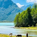 甲安村村民委员会 - 甘孜藏族自治州旅游 缩略图 5