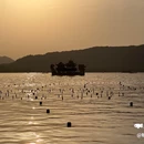 亭湾骑射 - 杭州旅游 缩略图 9